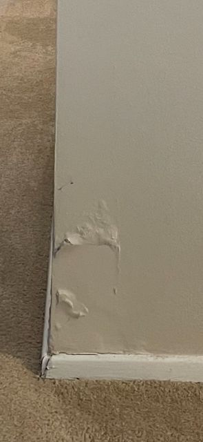 Painting in Richmond Heights, OH (1)