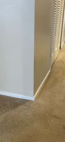 Painting in Richmond Heights, OH (5)