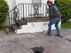 Masonry Steps in Cleveland, OH (1)